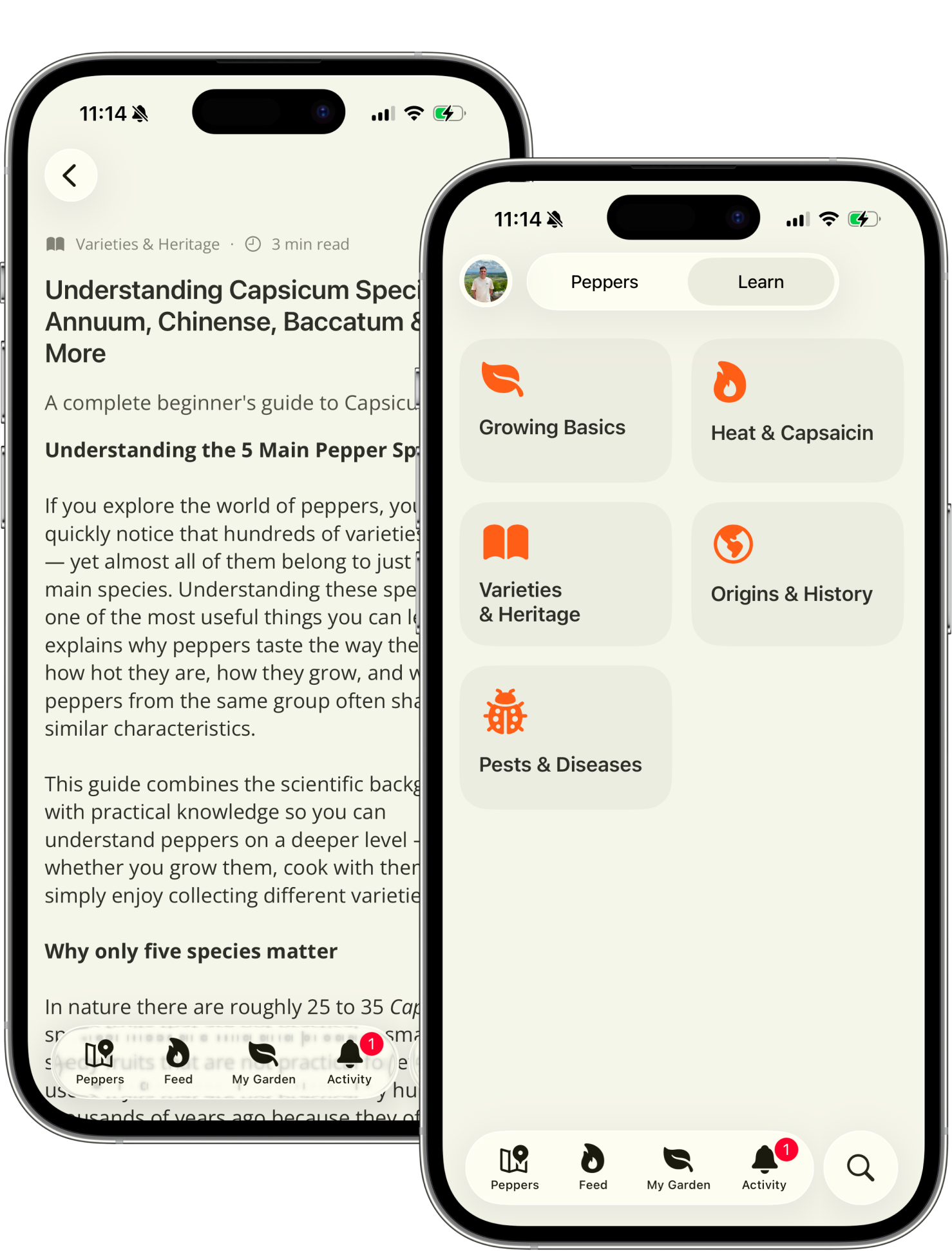 Capsi search and learn articles about peppers