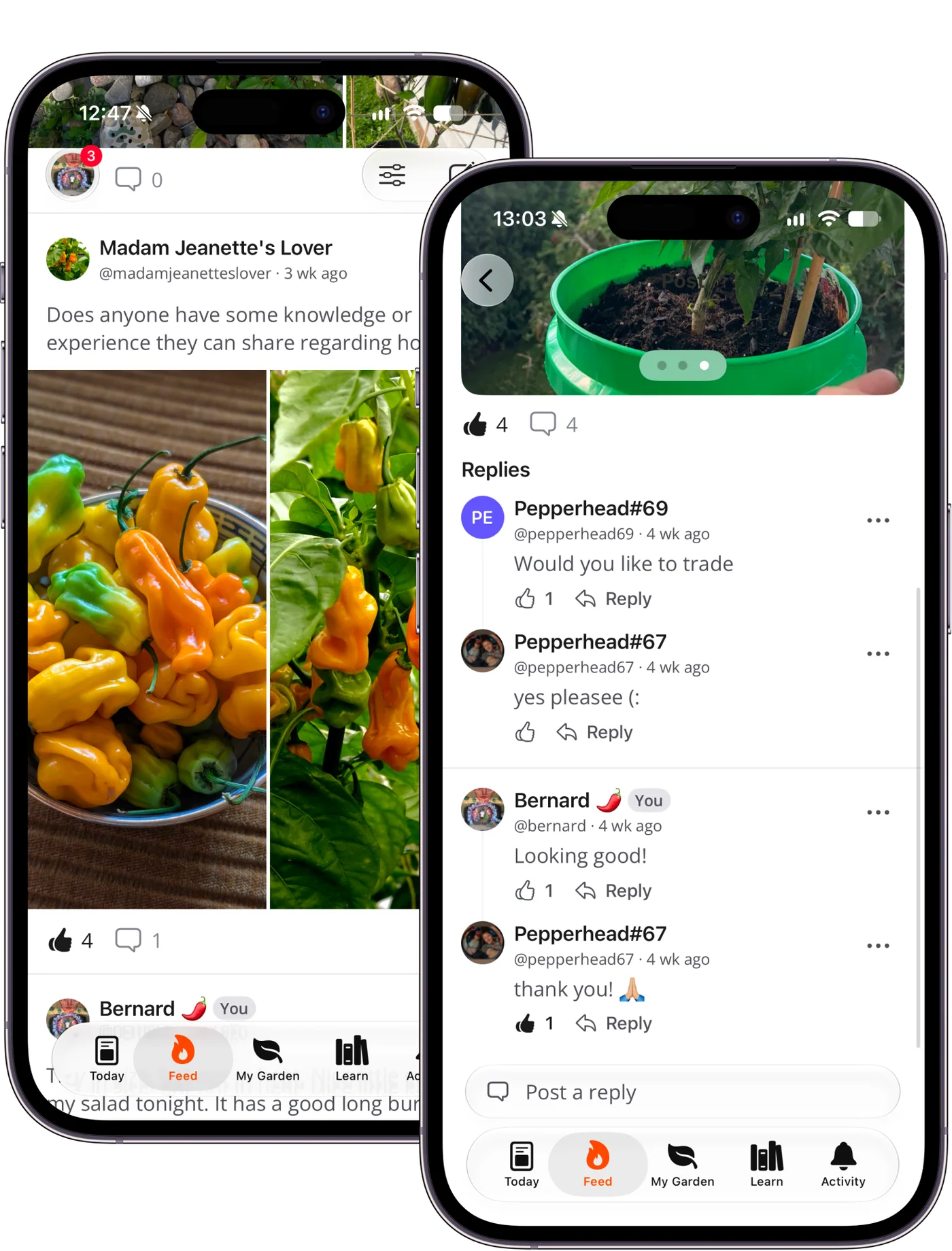 Capsi community feed on iPhone