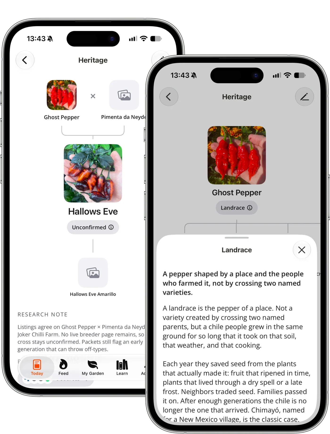 Capsi heritage on iPhone, parents and children of a variety