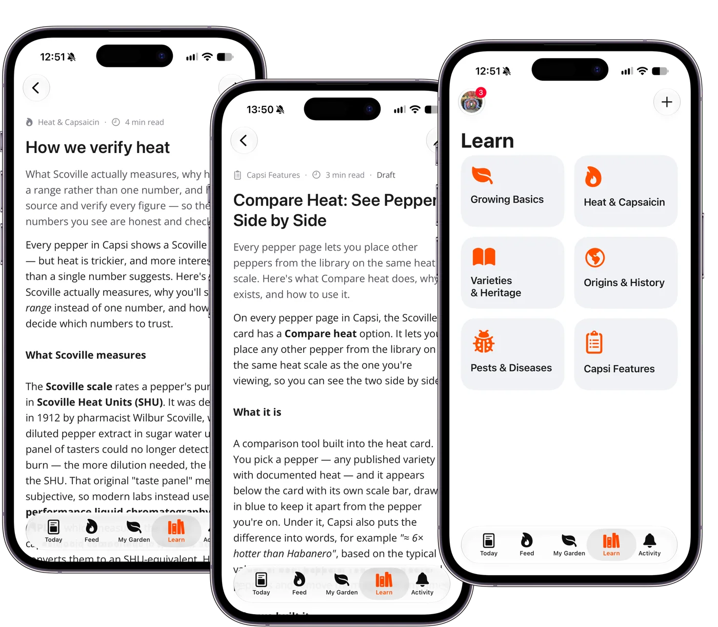 Capsi Learn articles on iPhone