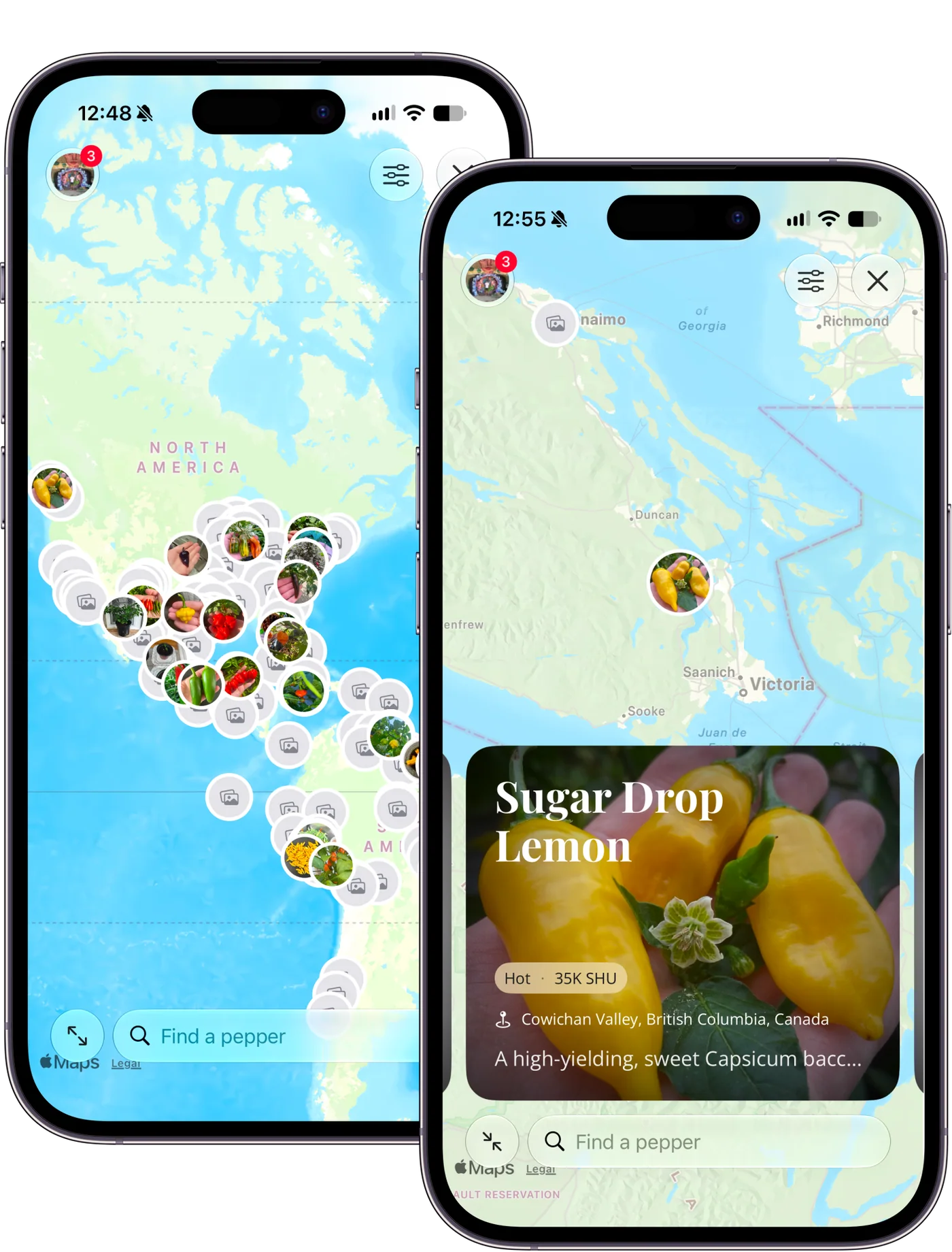 Capsi map of where pepper varieties come from